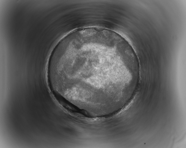 X0000088480949200706121528