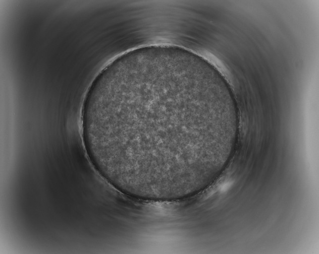 X0000088480950200706121528