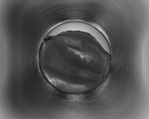 X0000088480951200706121528