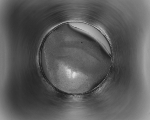 X0000088480952200706121528