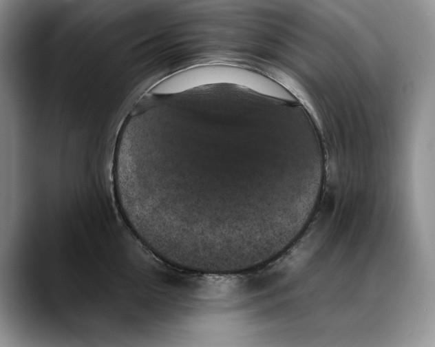 X0000088480954200706121528