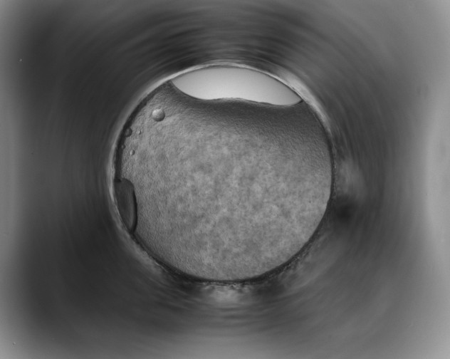 X0000088480955200706121528