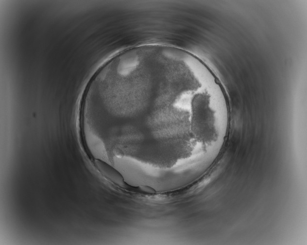 X0000088480957200706121528