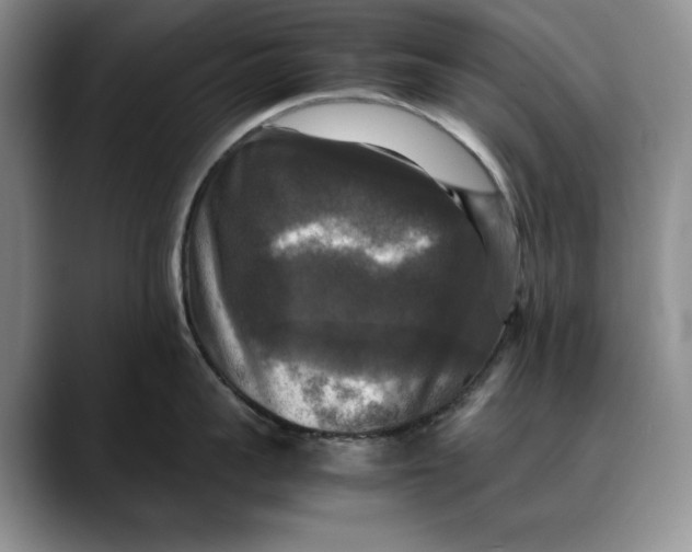 X0000088480959200706121528