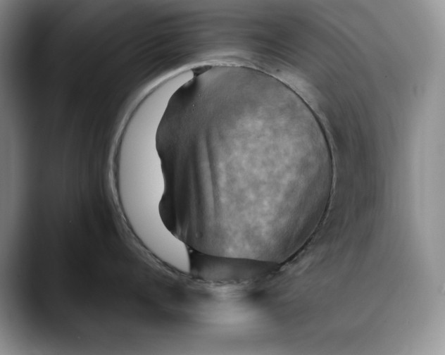 X0000088480960200706121528