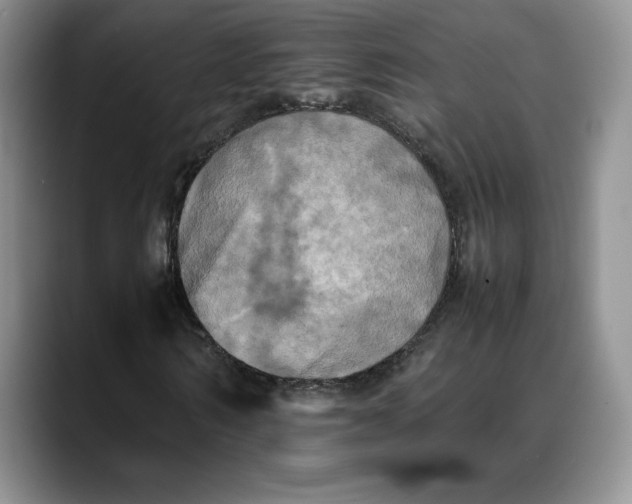 X0000088480962200706121528