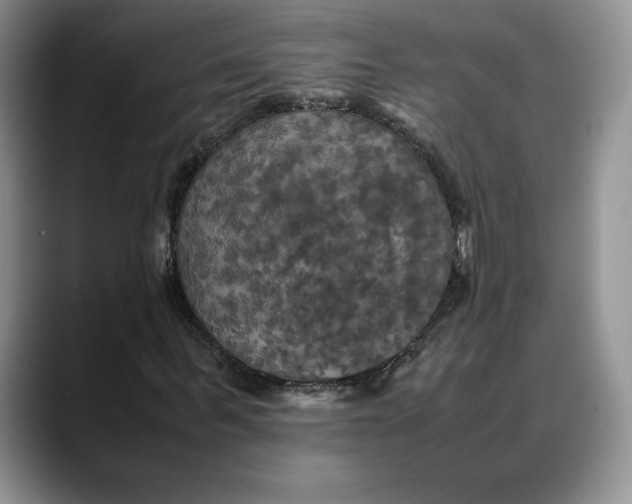 X0000088480963200706121528