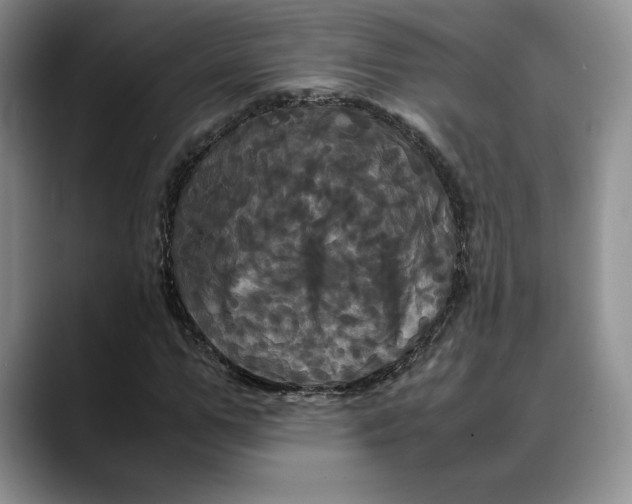 X0000088480967200706121528