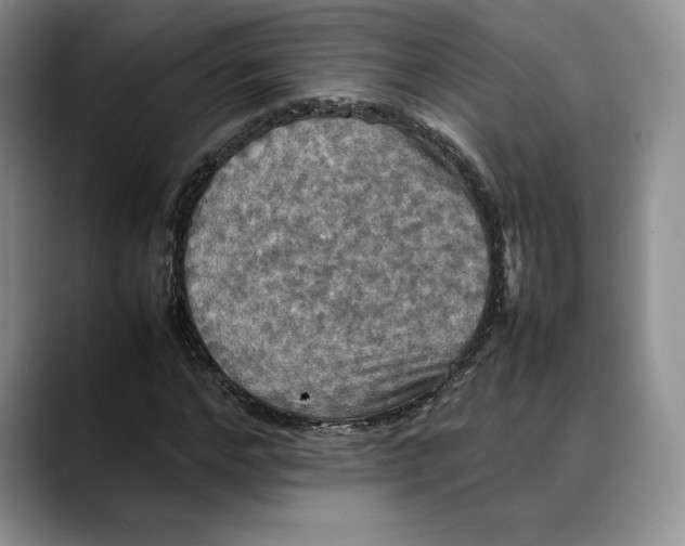 X0000088480968200706121528