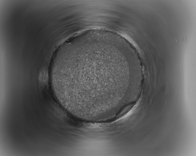 X0000088480969200706121528