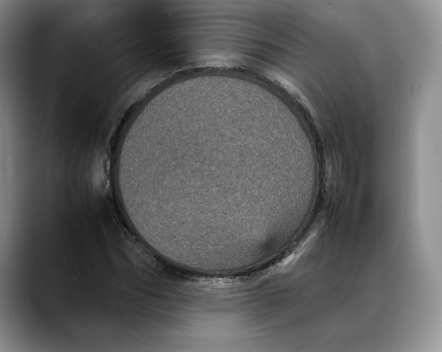 X0000088480970200706121528