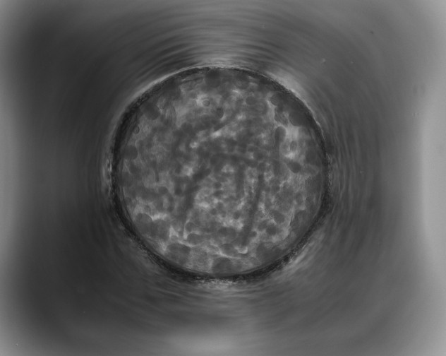 X0000088480971200706121528