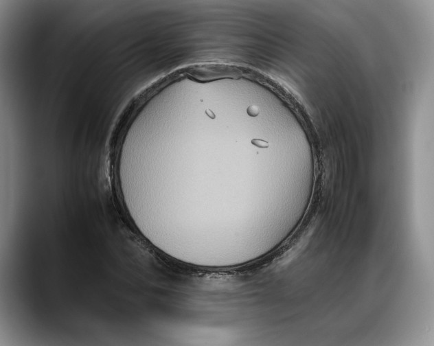 X0000088480974200706121528