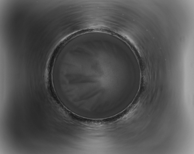 X0000088480975200706121528