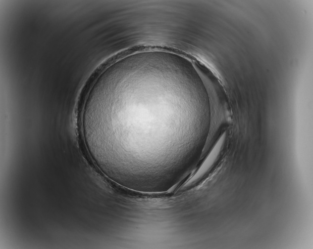 X0000088480976200706121528