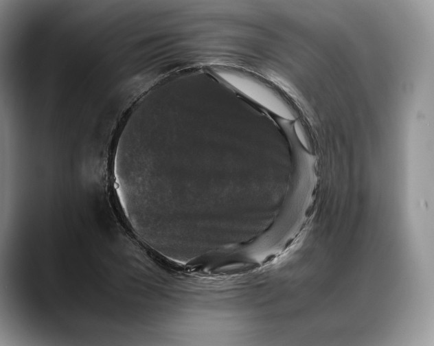 X0000088480977200706121528