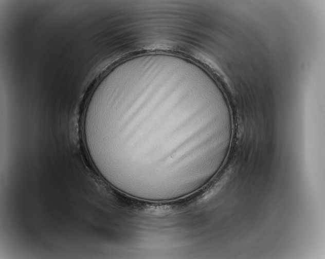 X0000088480978200706121528