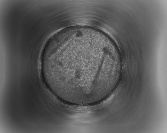 X0000088480979200706121528