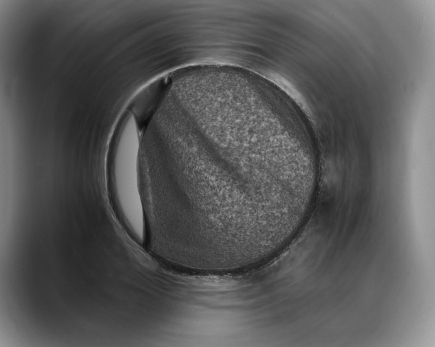 X0000088480980200706121528