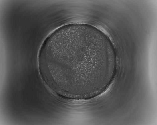 X0000088480981200706121528
