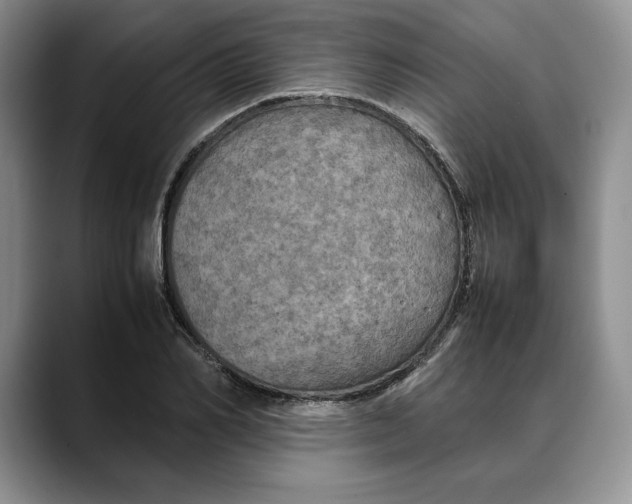 X0000088480982200706121528