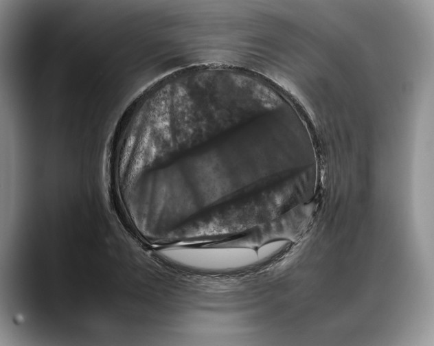 X0000088480983200706121528