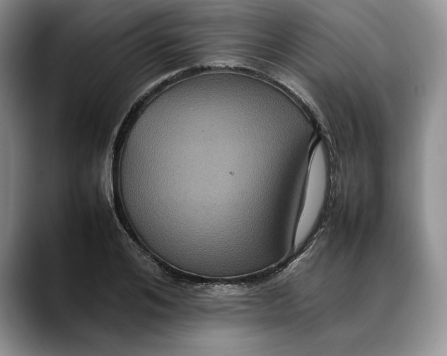 X0000088480984200706121527