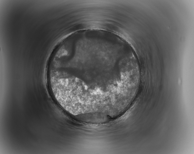 X0000088480987200706121527