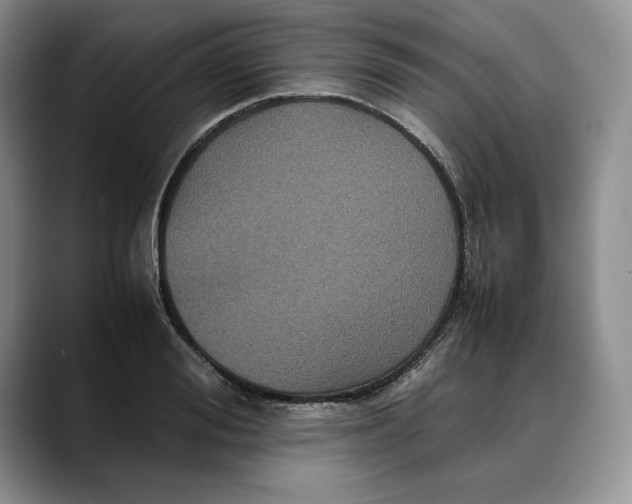 X0000088480988200706121527