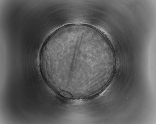 X0000088480990200706121527