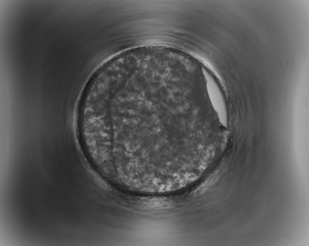 X0000088480991200706121527