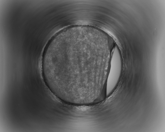 X0000088480992200706121527