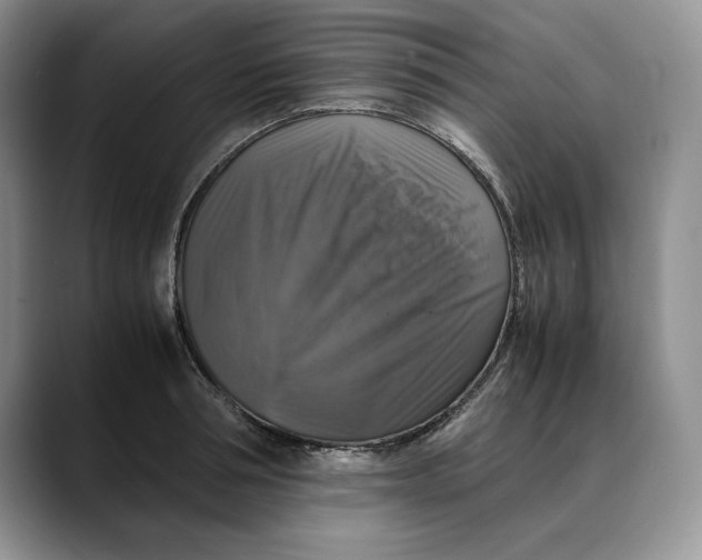 X0000088480994200706121527