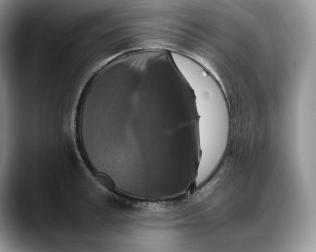 X0000088480995200706121527