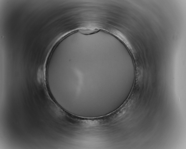 X0000088480996200706121527