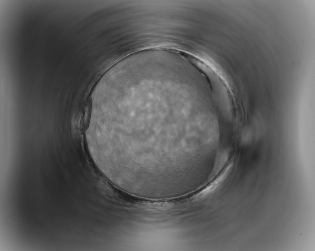 X0000088481001200706121527