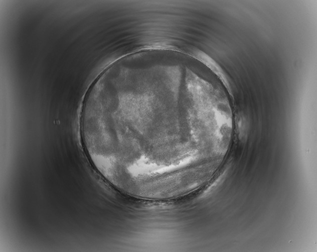 X0000088481002200706121527