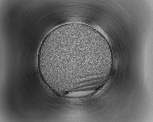 X0000088481004200706121527