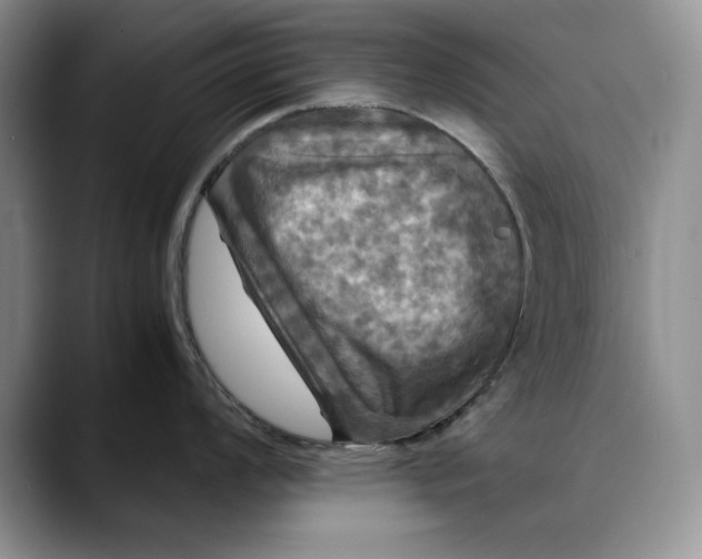 X0000088481008200706121527