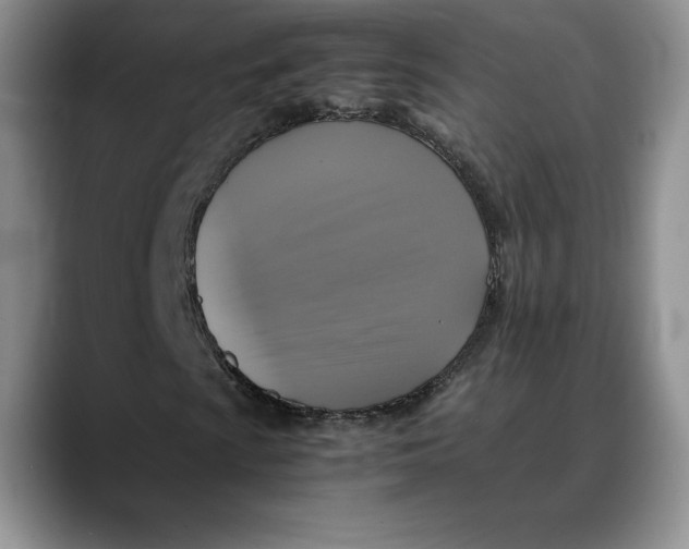 X0000088481009200706121527