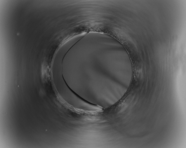 X0000088481010200706121527