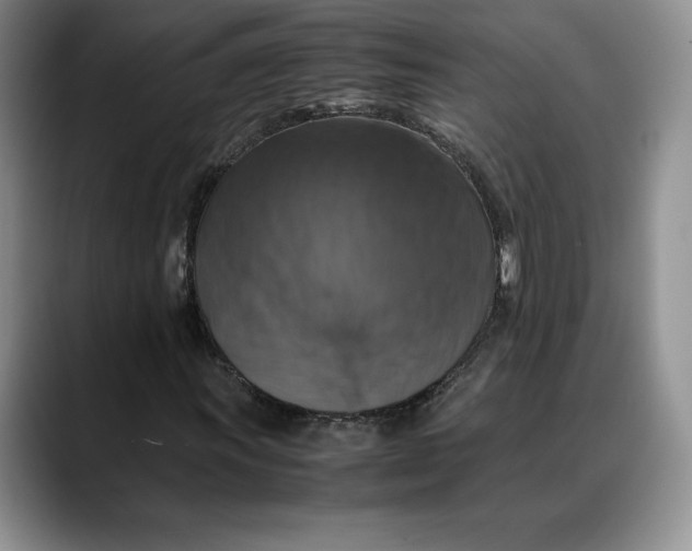 X0000088481011200706121527