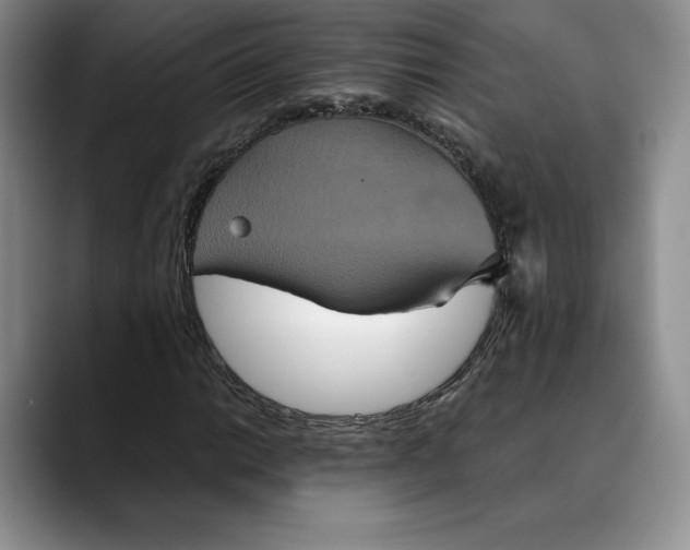 X0000088481014200706121527