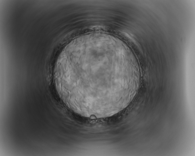 X0000088481015200706121527