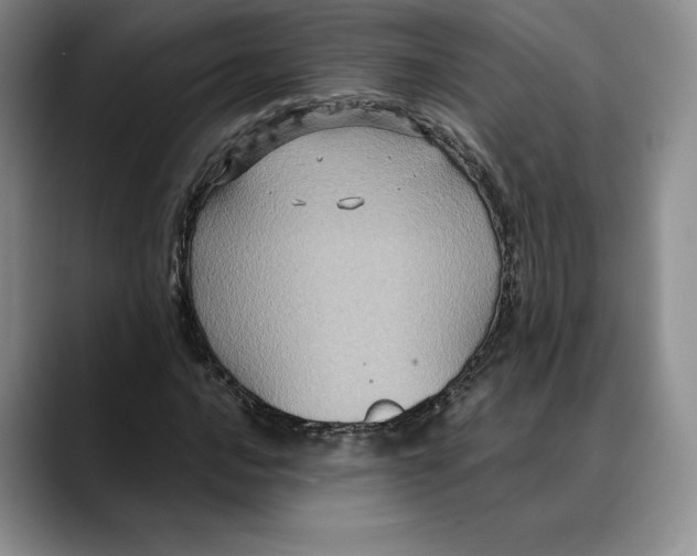 X0000088481016200706121527