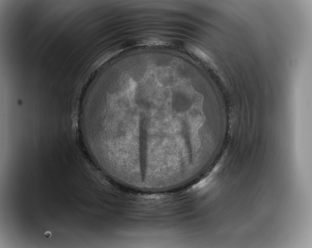 X0000088481017200706121527