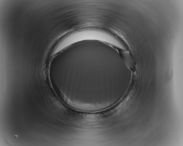 X0000088481018200706121527