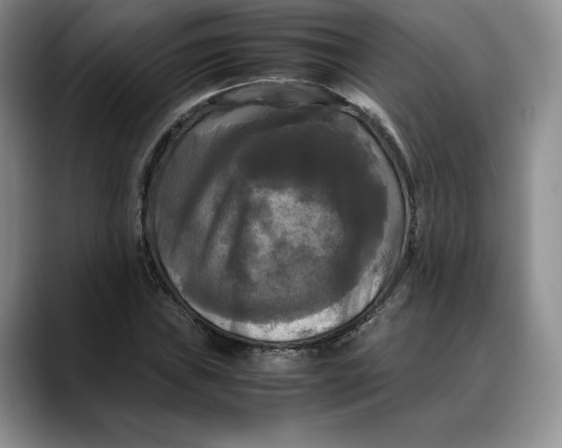 X0000088481019200706121527
