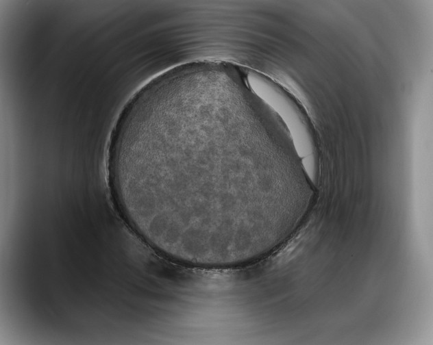 X0000088481020200706121527