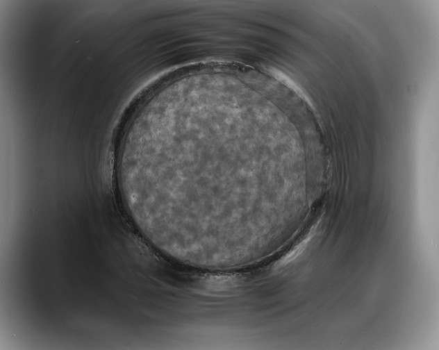 X0000088481021200706121527